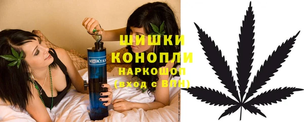ПСИЛОЦИБИНОВЫЕ ГРИБЫ Пролетарск