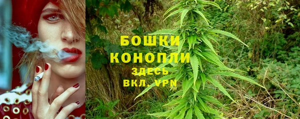 ПСИЛОЦИБИНОВЫЕ ГРИБЫ Пролетарск