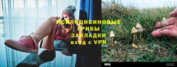 ПСИЛОЦИБИНОВЫЕ ГРИБЫ Пролетарск