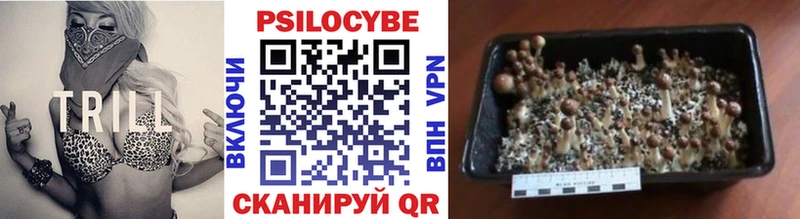 Псилоцибиновые грибы прущие грибы  Снежногорск 
